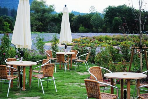 夏の中之条ガーデンズ カフェ 夏の中之条ガーデンズ カフェ 群馬県,中之条町,中之条ガーデンズの写真素材