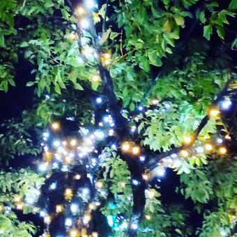 イルミネーション イルミネーションの写真