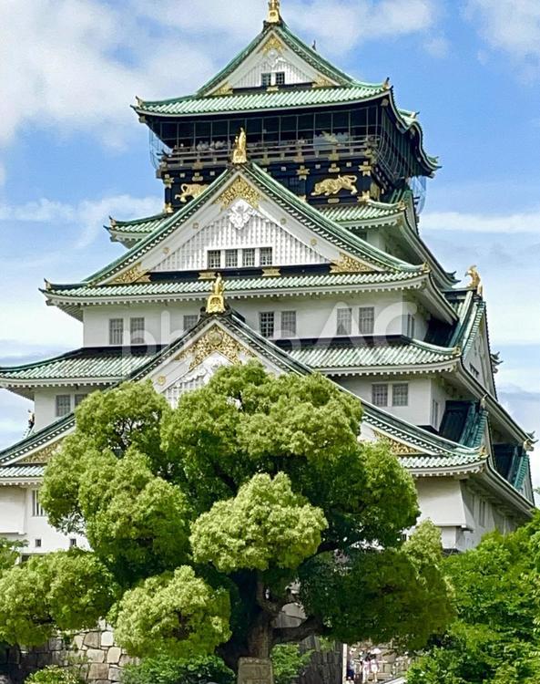 金箔の虎の彫刻で装飾された大阪城天守閣 大阪城,大阪城天守,阪神の写真素材