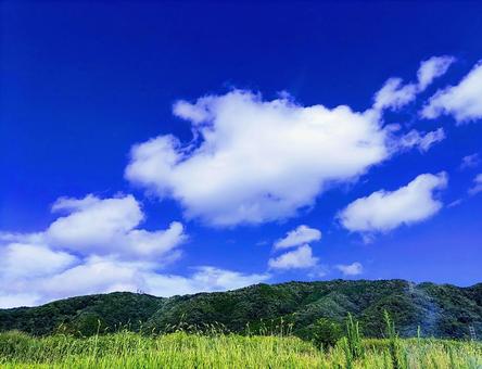 夏の青い空 夏の青い空の写真