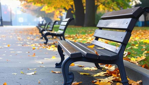 秋の公園のベンチと落ち葉 秋の公園のベンチと落ち葉の写真