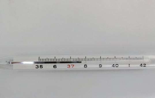 体温計 37.7℃ 水銀 高熱 体温計 37.7℃ 水銀 高熱 体温計,水銀,高熱の写真素材