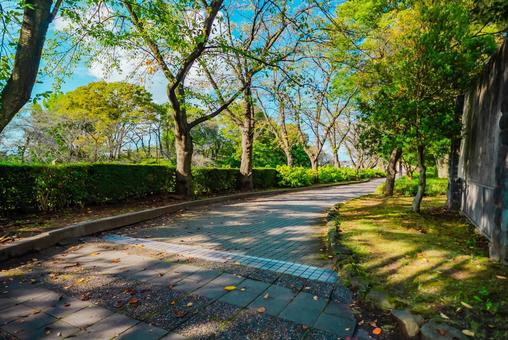【山形】山形美術館の周辺 【山形】山形美術館の周辺 山形,城跡,お城の写真素材
