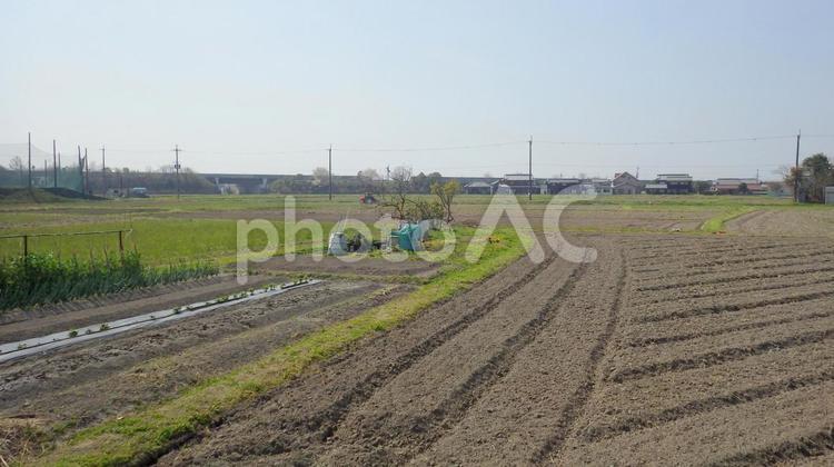 田舎の農地の風景 田舎,農地,畑の写真素材