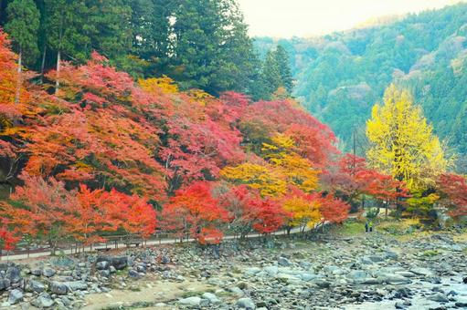 秋の山々 秋の山々の写真