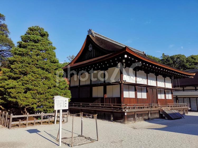 京都　下鴨神社　賀茂御祖神社　細殿 京都,下鴨神社,賀茂御祖神社の写真素材