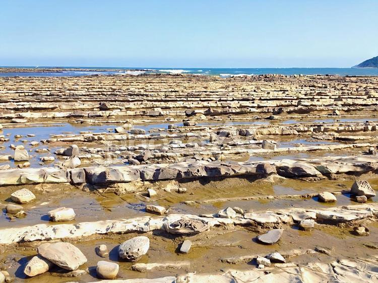 鬼の洗濯板 鬼の洗濯板,青島,海岸の写真素材
