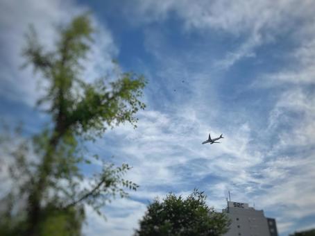 見上げれば、空の物語 見上げれば、空の物語 飛行機,空,青空の写真素材