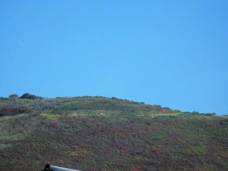 奈良公園から見えた若草山頂上の写真