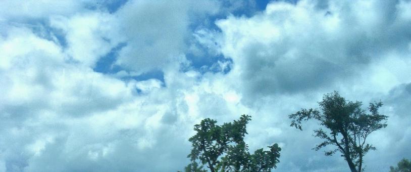 七月の雲-13 七月の雲-13の写真