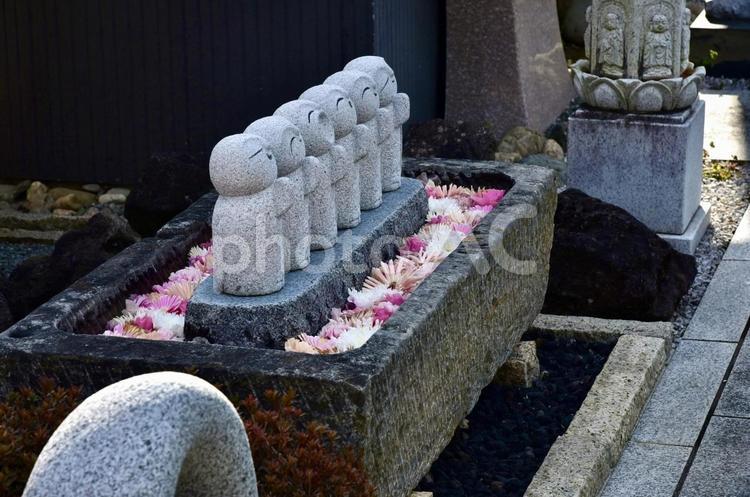 養平寺のお地蔵さん③ お地蔵さん,地蔵,お地蔵さまの写真素材