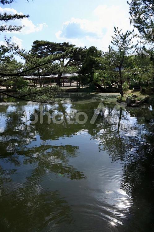 総社宮の庭園 岡山県,総社市,総社宮の写真素材