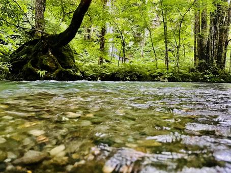 山の中の川の水面 山の中の川の水面の写真