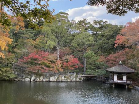 初紅葉 紅葉,西の丸庭園,鳶魚閣の写真素材
