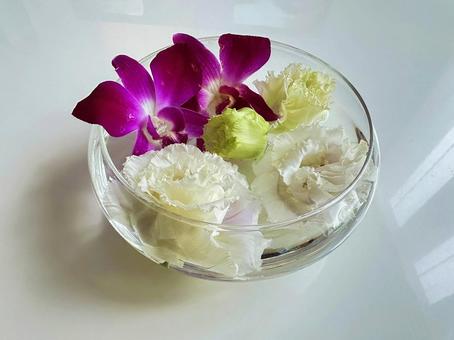 Photo, flower arrangement, bowl, display, 