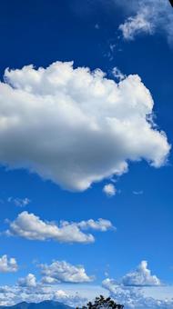 夏の青空と積乱雲:広がる雄大な景色 夏の青空と積乱雲:広がる雄大な景色 空,青空,雲の写真素材