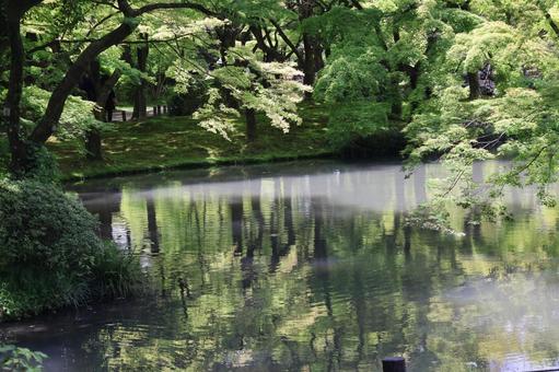 緑の木々の森と水面にうつる池のある公園の写真