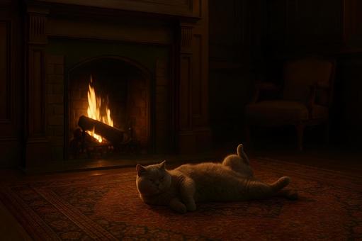 暖炉前でくつろぐ猫 暖炉前でくつろぐ猫の写真
