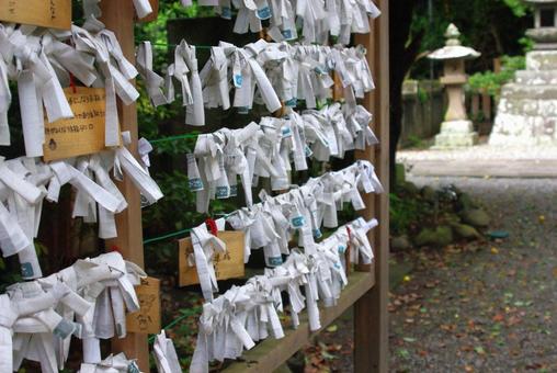 神社のおみくじ 神社のおみくじ 神社,おみくじ,願い事の写真素材