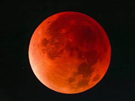 皆既月食2025年9月8日 皆既食① 皆既月食2025年9月8日 皆既食①の写真