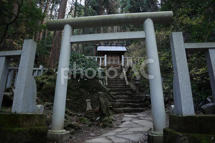 御岩神社　かびれ神宮 御岩神社,賀毗礼神宮,日立の写真素材