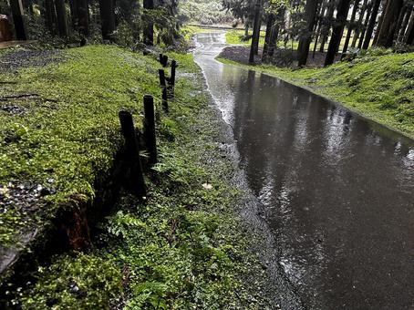 山中 山中 山中,山道,雨の写真素材