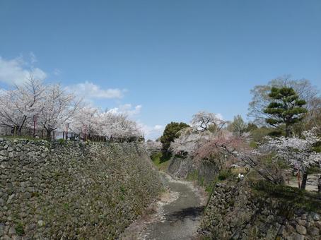 郡山城の極楽橋より 郡山城の極楽橋より 極楽橋,郡山城,奈良県の写真素材