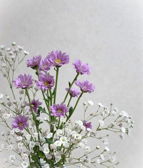 切り花（小菊とカスミソウ） 小菊,カスミソウ,切り花の写真素材