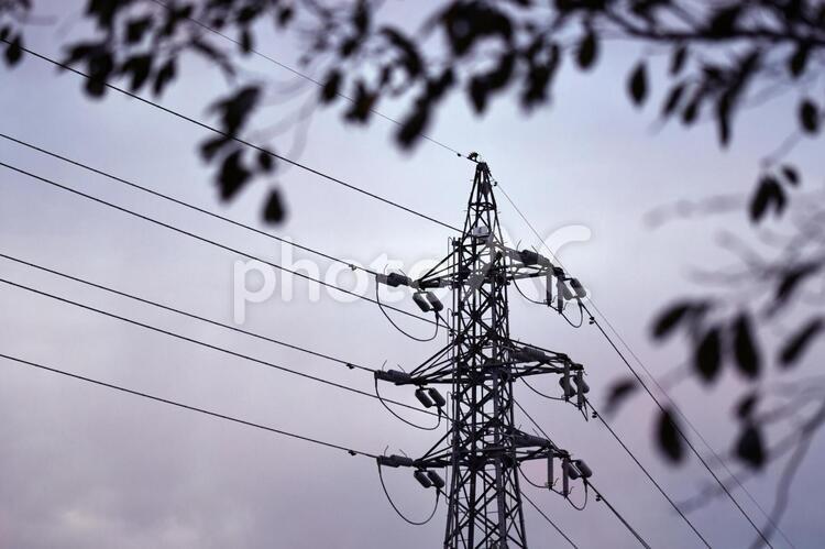 鉄塔がある風景 鉄塔,送電線,電線の写真素材