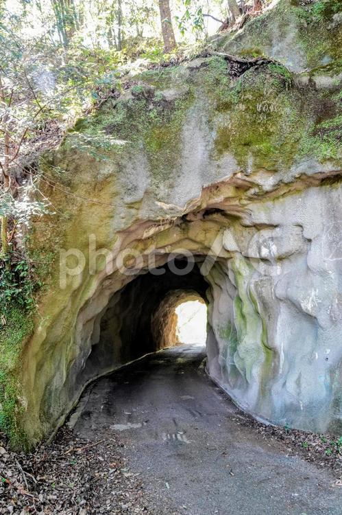 新見のコンクリート吹き付け素掘りトンネル トンネル,素掘り,道路の写真素材