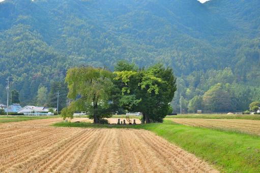 里山の墓地 里山の墓地の写真