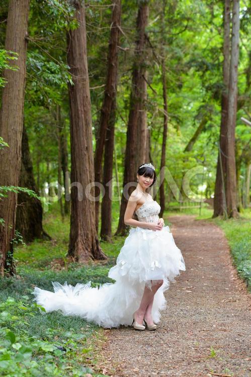 ウエディングドレスを着た女性 a236 bridal,love,お姉さんの写真素材