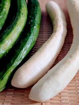 白キュウリ 白キュウリ きゅうり,キュウリ,野菜の写真素材