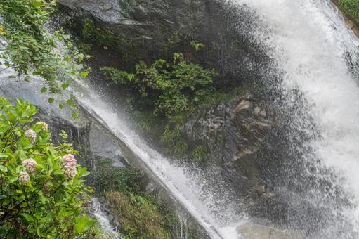佐賀-【見返りの滝とあじさい】 佐賀,唐津市,見返りの滝の写真素材