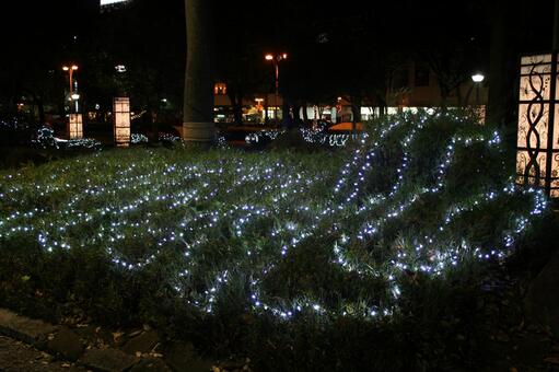 イルミネーション イルミネーションの写真