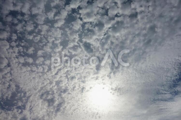 北欧の初秋の空 バックグランド,何人もありません,光の写真素材