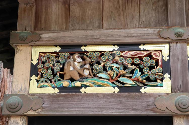 日光東照宮　神厩舎の猿の彫刻1 日光東照宮,神厩舎,猿の彫刻の写真素材