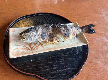 にじますの塩焼き にじますの塩焼き 美味しい,食べ物,にじますの写真素材