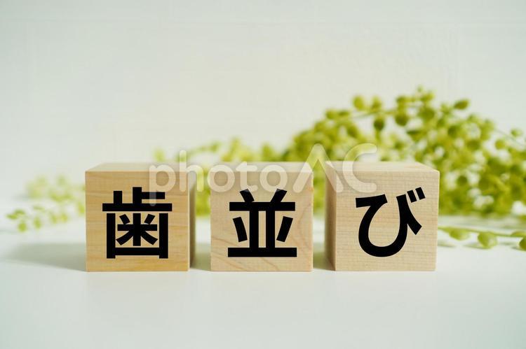 木製ブロックに『歯並び』の文字 歯並び,歯,歯列の写真素材