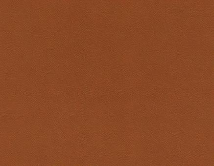 チェスナットの革 チェスナットの革の写真