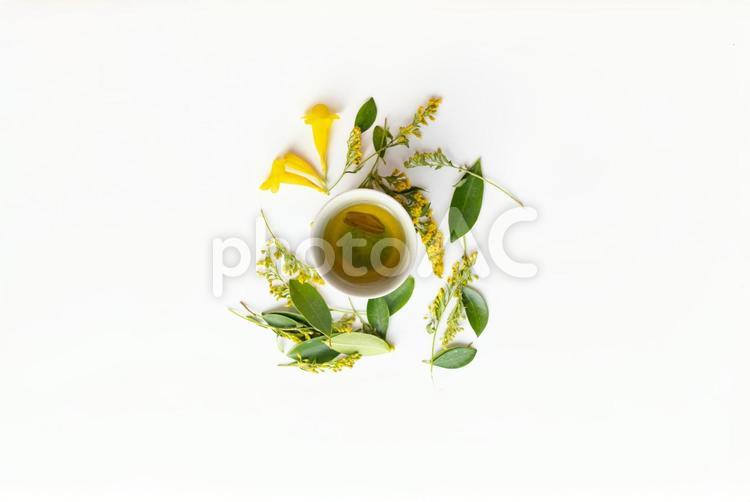 ドクダミ茶とミモザと葉っぱと黄色の花 お茶,飲み物,ドクダミ茶の写真素材