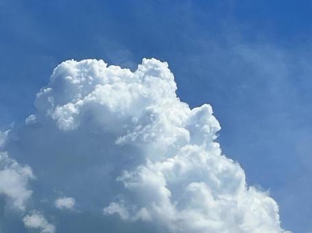 夏の雲 夏の雲の写真