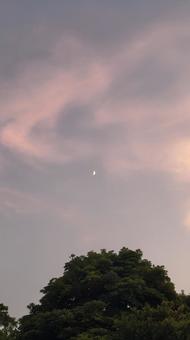 Crescent moon floating in the sunset sky, JPG Crescent moon floating in the sunset sky, JPG