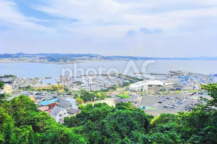 江ノ島からの風景 江ノ島,植物,草木の写真素材