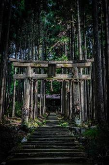 京都　賀茂神社の風景 京都,京都府,京都市の写真素材