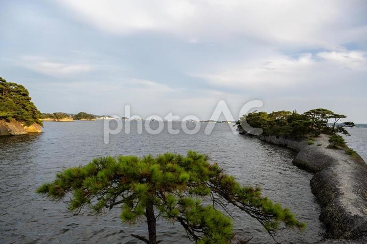 馬の背周辺の景色 馬の背,宮城県,利府町の写真素材
