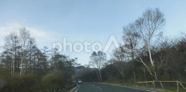 夕暮れの戦場ヶ原-25 暮れ,夕方,薄暮の写真素材