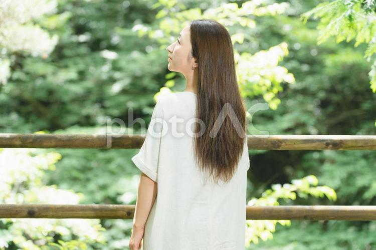 森林浴する美髪の日本人女性 スピリチュアル,パワースポット,森林浴の写真素材