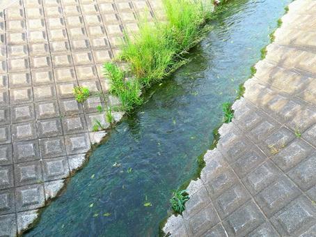 Photo, canal, water, waterway, 
