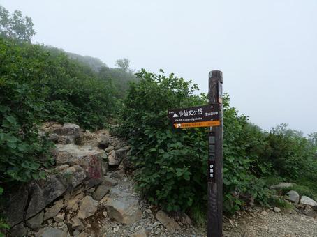 小仙丈ヶ岳直前の道標 仙丈ケ岳,道標,南アルプスの写真素材